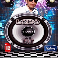 lobo dj