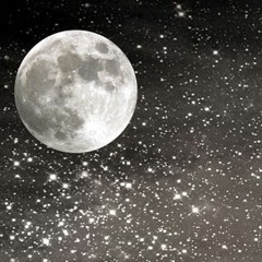 LunaLegacy