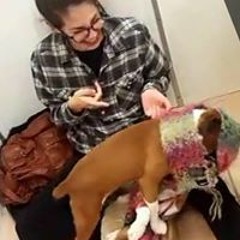 SharonRachel