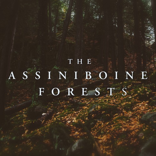 The Assiniboine Forests’s avatar
