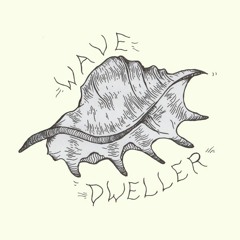 Wave Dweller Records
