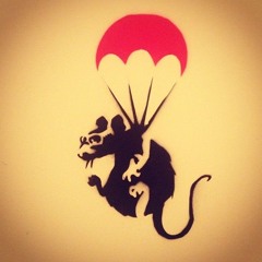 Flying Rat