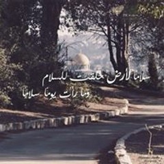 Amr Farhat