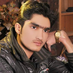 Adeel ch