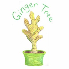 Ginger Tree