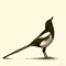 user732005401