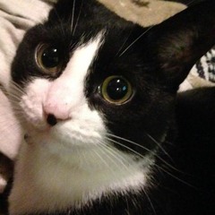 The Eve Of Destruction...or Not