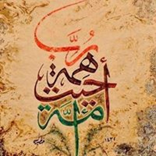 محمد علي الرفاعي’s avatar