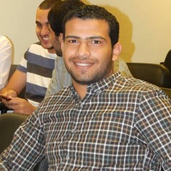 Hamed A. ElGendy