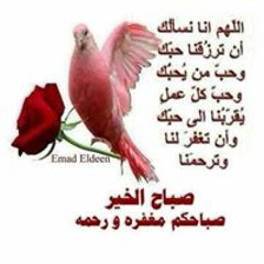 نديم طويل