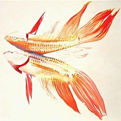 • • • • (ferran)