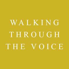 Walking through the voice