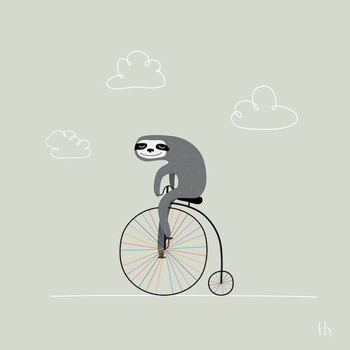Racing Sloth’s avatar