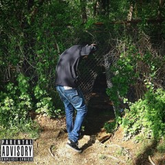The Gambino