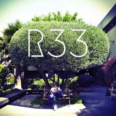 R33
