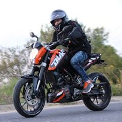 אופיר למנצח