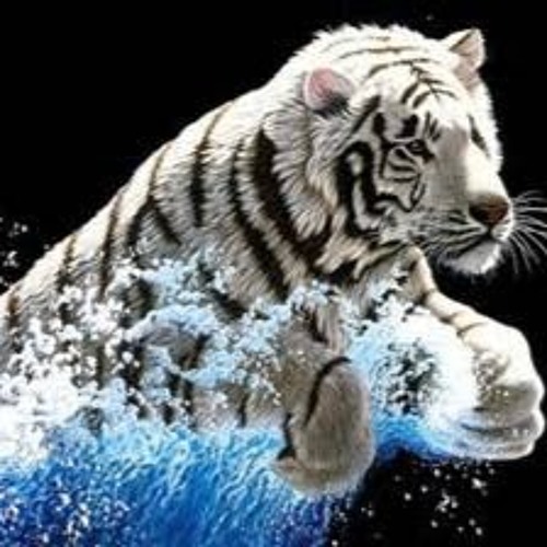White Tiger’s avatar