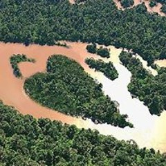 AmaZonia Guarani Kaiowá