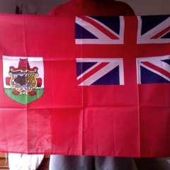 Migo🇧🇲4️⃣1️⃣1️⃣💰💣