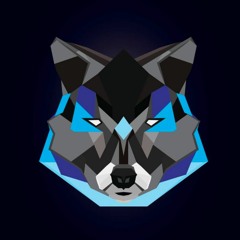 Colton Vail (3NF0RC3R)