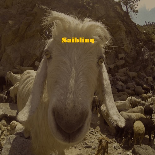 Saibling’s avatar