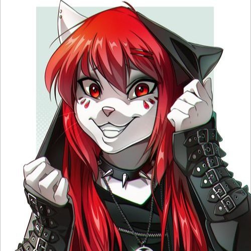 Wolf Midnight’s avatar
