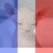 Dimitri Bourguignon
