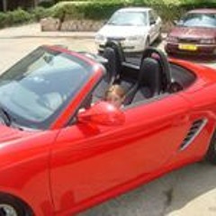 דניאל סיטנר