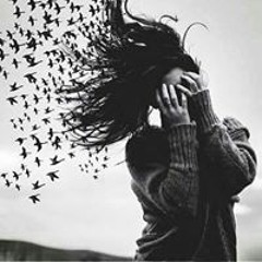 songs
