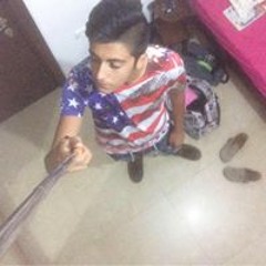 אוריאל איובי