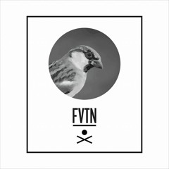 FVTN Records