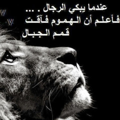 ‫الكوسفي نزار‬‎