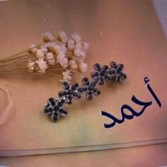 Ahmed Gamal Nasr