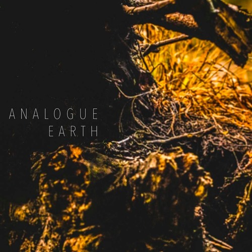 Analogue Earth’s avatar