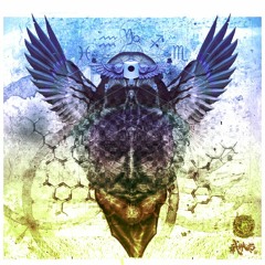 Indestructible Auks One