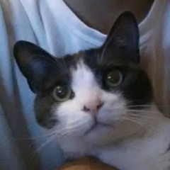 Dave