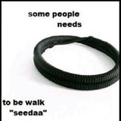 Mohammed Ahmed Man Man