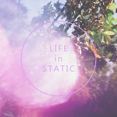 Life In Static