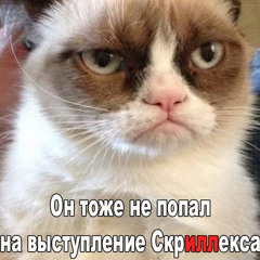 Александр Терехов