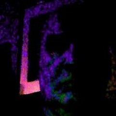 stephen agneuser557637547