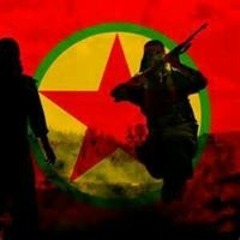 Leland Falcon Taylor