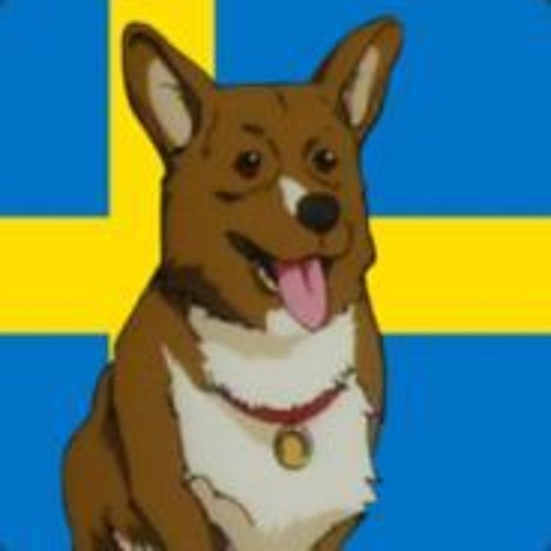 swedish corgi