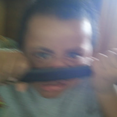 Robert LM Toelupe