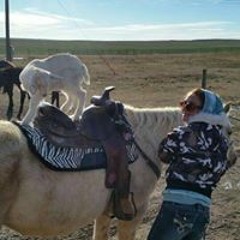 Mandi Mahkiki Mandino