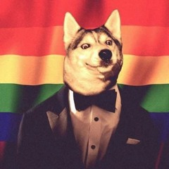 Alfonso Dingo Torres