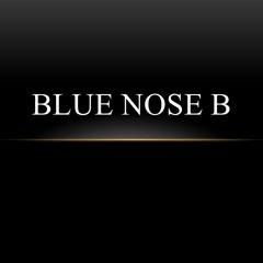 Blue Nose B