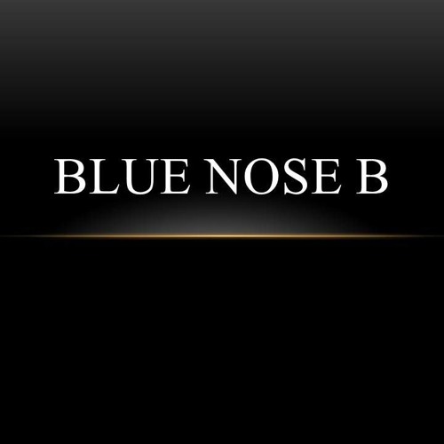 Blue Nose B’s avatar
