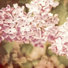 at;
