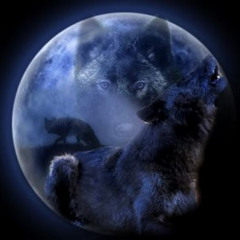 wolffeeee