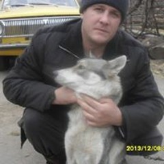 Александр Кравец